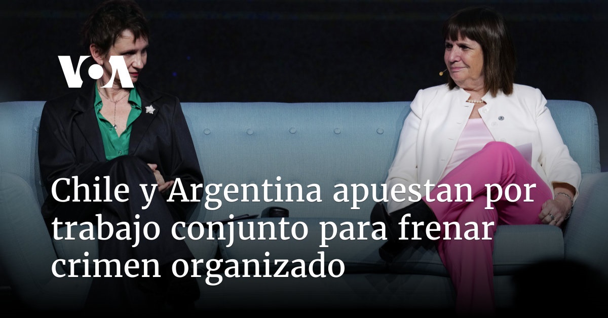 Chile y Argentina apuestan por trabajo conjunto para frenar crimen organizado
