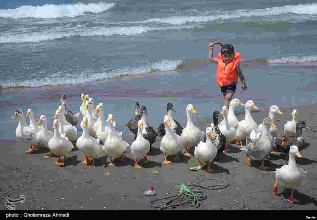 سواحل مازندران ایران 