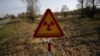 Scientists Study Chernobyl Fungus as Protection against Space Radiation