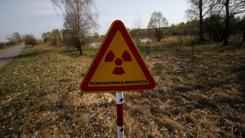 Scientists Study Chernobyl Fungus as Protection against Space Radiation