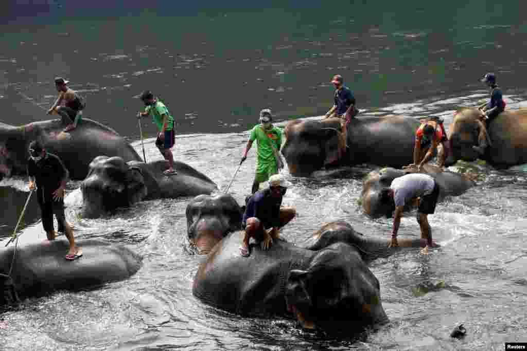 Migrant workers from Myanmar bathe elephants at an elephant camp closed to tourists due to the nationwide lockdown to prevent the spread of the coronavirus, in Kanchanaburi, Thailand.
