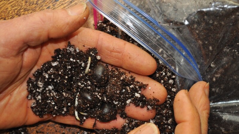 Time to ‘Get Your Hands Dirty’