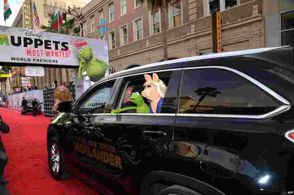 Những nhân vật rối Kermit the Frog và Miss Piggy đến dự buổi ra mắt phim 'Muppets Most Wanted' của hãng Disney tại Nhà hát El Capitan ở Hollywood, bang California, ngày 11 tháng 3, 2014.