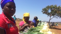 ONU promove nutrição em Moçambique