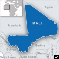 ICRC: Fighting in Northern Mali Displaces 30,000