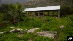 Stones from the foundation of the he Al-Juma (Friday) Mosque peek through overgrown plants, in Tiberias, northern Israel, Wednesday, Jan. 27, 2021.