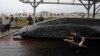 日本退出国际捕鲸委员会 恢复商业捕鲸 