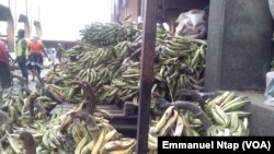 Les plantains destinés pour le marché de Libreville au Gabon sont stockés au marché Mfoundi, à Yaoundé, Cameroun, 20 février 2017. (VOA/Emmanuel Ntap).