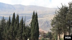 At Lebanese vineyards, winemakers say since they survived Lebanon's brutal civil war they are resilient enough to keep growing by the mountainous Syrian border. VOA Photo By: H. Murdock. Bekaa Valley, Lebanon, 29 October, 2014.