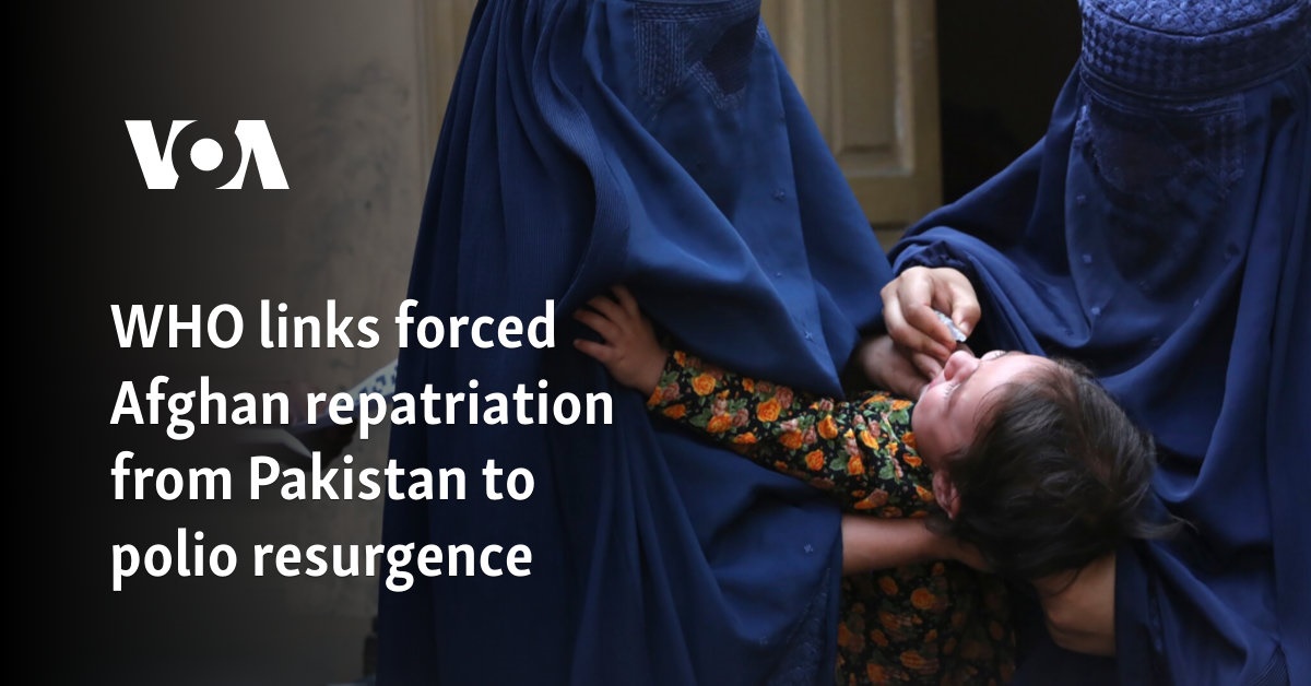 WHO links forced Afghan repatriation from Pakistan to polio resurgence