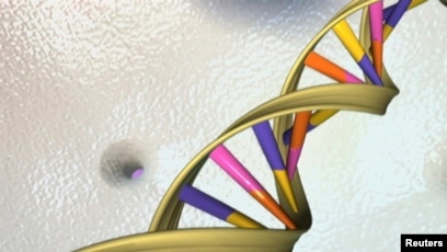 A second update on mapping the human genetic architecture of COVID