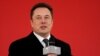  Meet Elon Tusk: Tesla Chief Changes Twitter Display Name