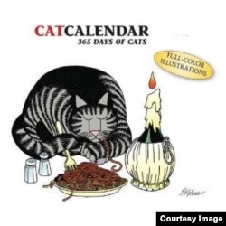 A Cat a Day Calendar