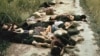 Bức ảnh Thảm sát Mỹ Lai thay đổi cuộc đời vợ John Lennon