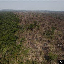 An illegally burnt deforested area is seen next to a still virgin forest, near Novo Progresso, in the northern Brazilian state of Para, 15 Sep 2009