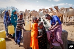 Anak-anak penggembala mengisi wadah plastik dengan air dari titik air di gurun dekat Dertu, Kabupaten Wajir, Kenya, 24 Oktober 2021. (Foto: AP)