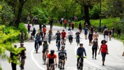 New York'ta geçen hafta sonu Central Park