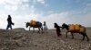 کاهش آب‌های زیرزمینی کابل؛ 'فاجعه‌ای' در راه است