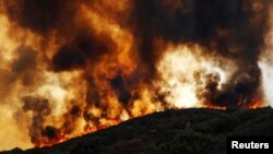 Wind-driven flames roll over a hill towards homes during the River Fire (Mendocino Complex) near Lakeport, California, U.S., Aug. 2, 2018. 