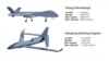 The Yilong and Xianglong, two Chinese drone models. 