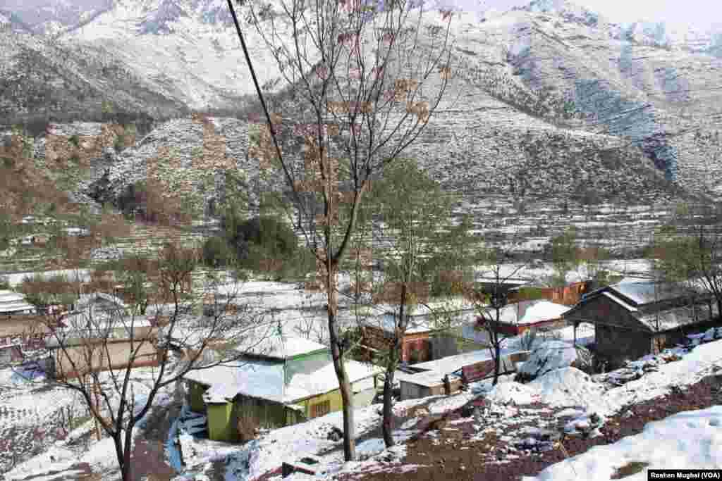 برفباری کے بعد کا ایک خوبصورت منظر۔