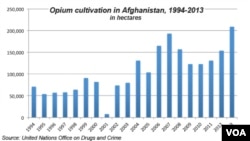 په افغانستان کې د کوکنارو دکرلو جدول له 1992 کال نه تر 2013 پورې هرکال زېاتېږي