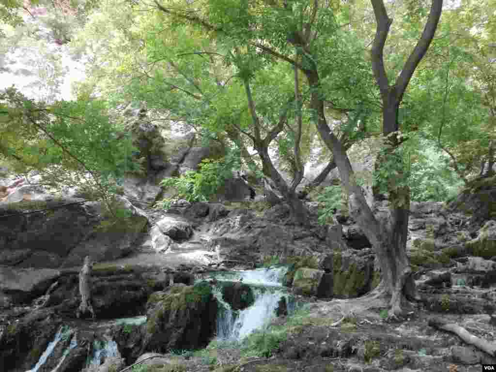 آبشار آتشگاه لردگان، چهارمحال و بختیاری عکس: مصطفی اسماعیلی(ارسالی شما)