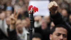 A soldier stands with flowers in the barrel of his gun as Tunisians protest outside the headquarters of the ousted president's party in Tunis this week