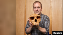 The Natural History Museum's Professor Chris Stringer is seen holding the Broken Hill skull, Homo heidelbergensis, a fossil of an extinct human species found in Zambia in 1921 in this undated image provided to Reuters March 31, 2020. (Kevin Webb/NHM Image