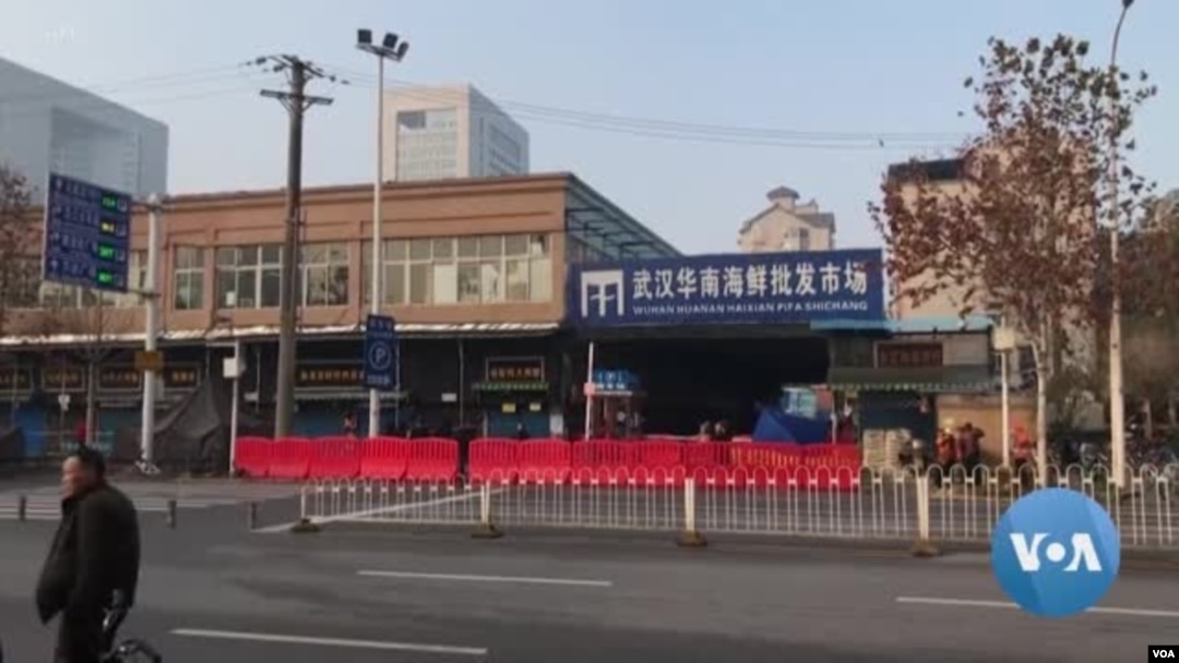 爆發新型冠狀病毒肺炎的武漢華南海鮮批發市場已經暫停營業
