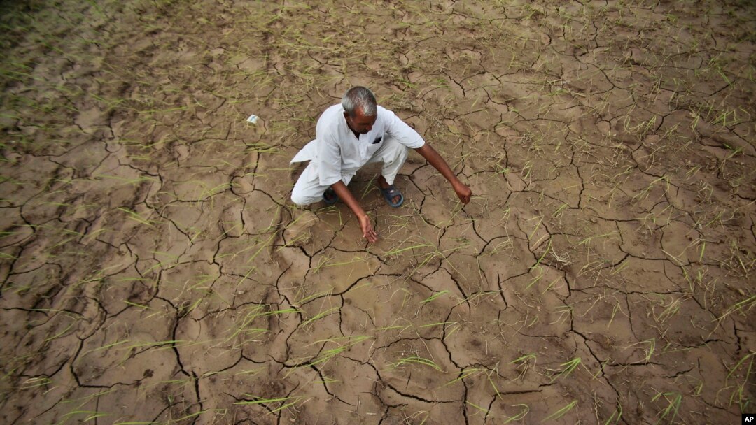 Climate Change
