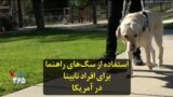 استفاده از سگ‌های راهنما برای افراد نابینا در آمریکا