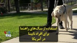 استفاده از سگ‌های راهنما برای افراد نابینا در آمریکا