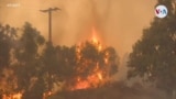 Creciente incendio al norte de Santa Bárbara provoca evacuaciones y declaración de emergencia