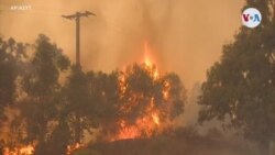 Creciente incendio al norte de Santa Bárbara provoca evacuaciones y declaración de emergencia