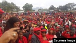 Supporters of the Movement for Democratic Change led by Morgan Tsvangirai.