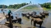 A mahout sprays water over elephants during their daily bath in a river, at the Pinnawala Elephant Orphanage in Pinnawala on Feb. 16, 2025 as Sri Lanka's main elephant orphanage marked its 50th anniversary.