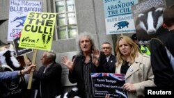 Brian May (C), guitarist of the legendary rock band Queen, leads a protest against the cull of badgers, in central London June 1, 2013.