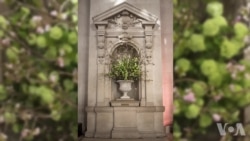 纽约大都会博物馆花卉艺术展吸引游客
