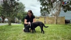 Առլինգթոնից բուժքույրը առաջադրվել է «Քովիդի հերոս» մրցանակի