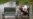 16x9 Image