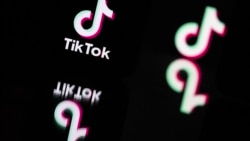 Quiz - How TikTok’s Technology Makes the Service Popular