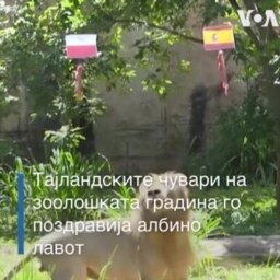 Лав предвидува победа