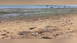 Poluição mata peixes da Ilha de Moçambique