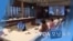 [VOA 모닝 뉴스] 2020년 11월 25일