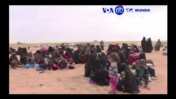 Manchetes Mundo 8 Março 2019: A fuga de Bgfhouz