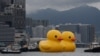Giant Yellow Ducks Return to Hong Kong, Bring Happiness