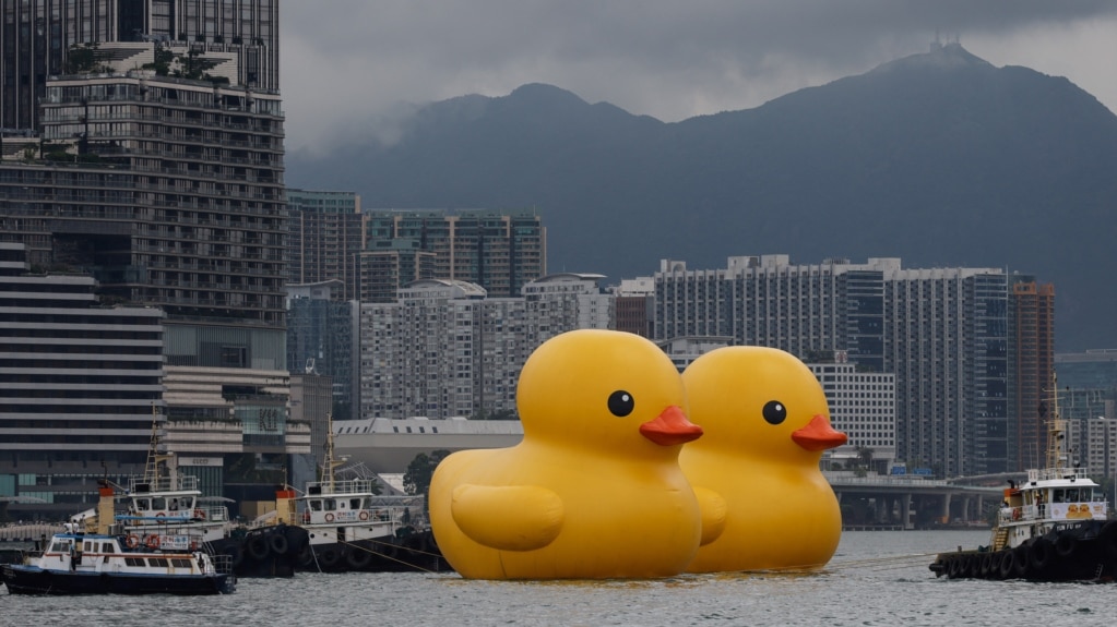 Giant Yellow Ducks Return to Hong Kong, Bring Happiness