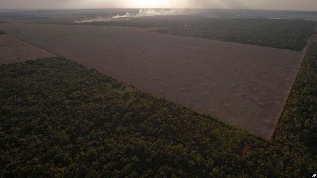 En la imagen, un área deforestada en el estado de Pará.