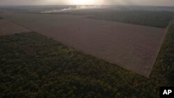 En la imagen, un área deforestada en el estado de Pará.